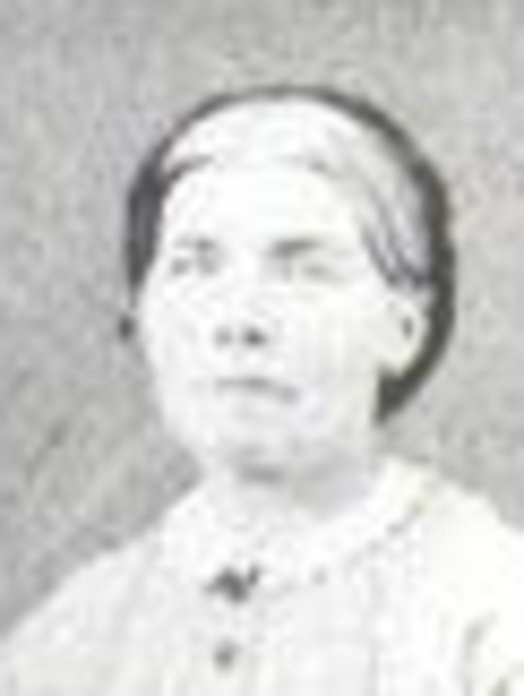 Mary Pollard Robinson (1831 - 1902) Profile